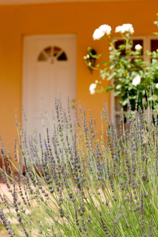 Little Tuscany Boutique Hotel Johannesburg Dış mekan fotoğraf